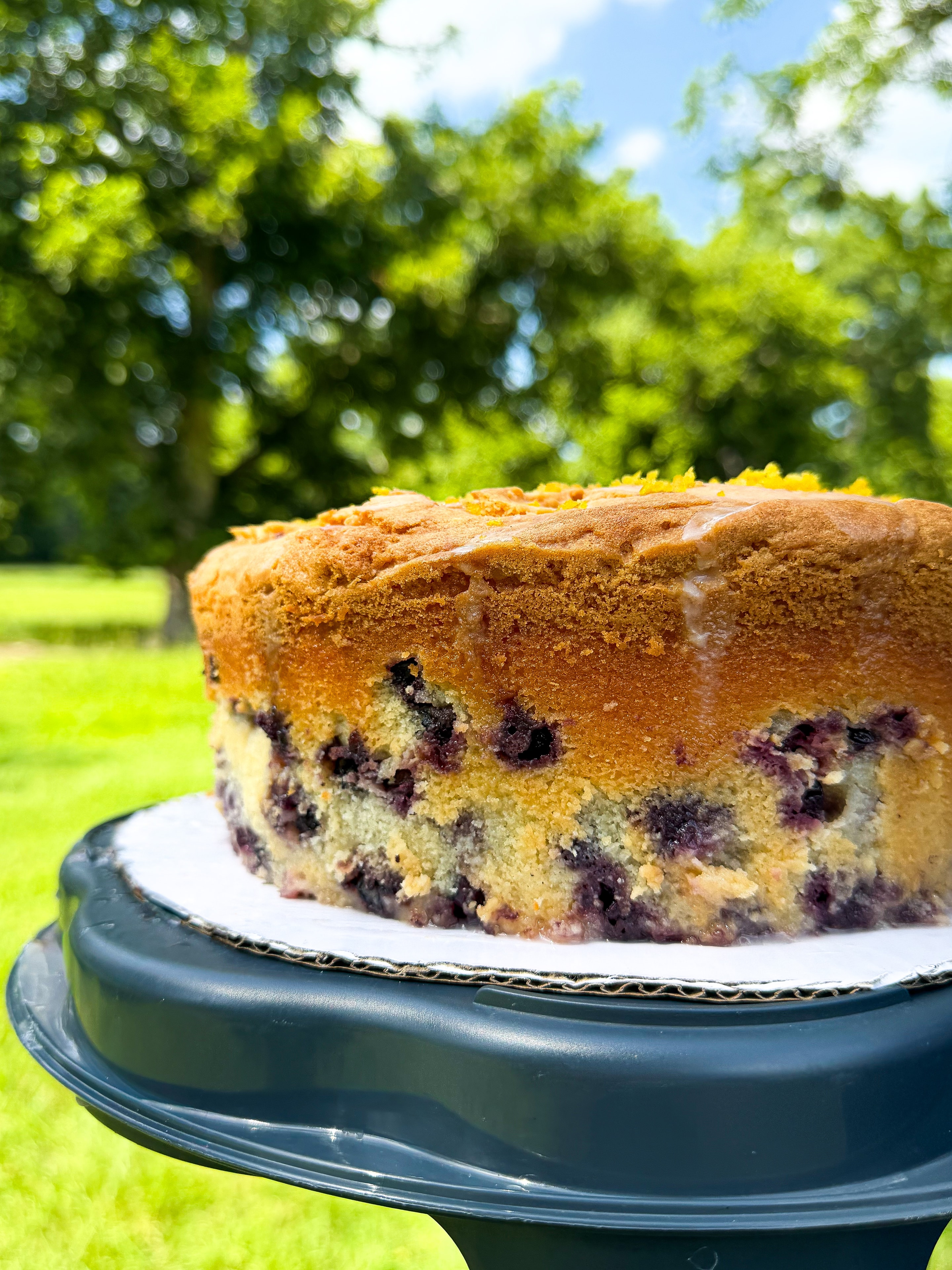 Blueberry pound cake on a cake stand outdoors in natural light